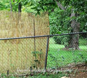 backyard ideas reed fence home depot privacy, diy, fences