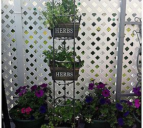 gardening cd tower turned herb rack, gardening, repurposing upcycling, Highrise Herb Garden from starrcreative