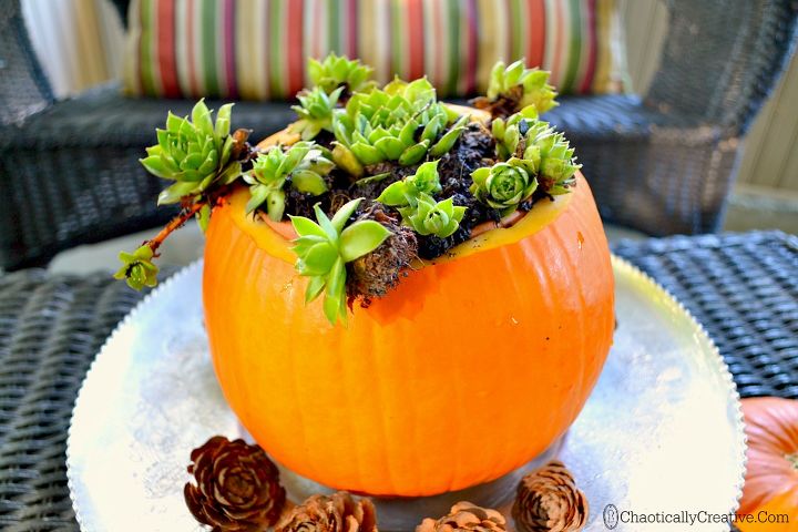 Image result for pumpkin planter