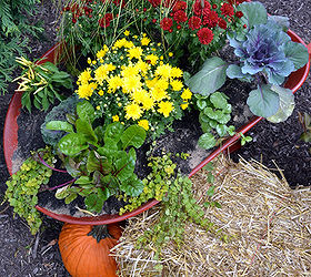 gardening planter wheelbarrow upcycle repurpose, gardening, repurposing upcycling
