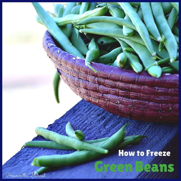 gardening harvest green beans preserving fresh, gardening, homesteading
