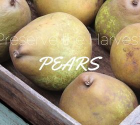 gardening harvest pears preserving, homesteading