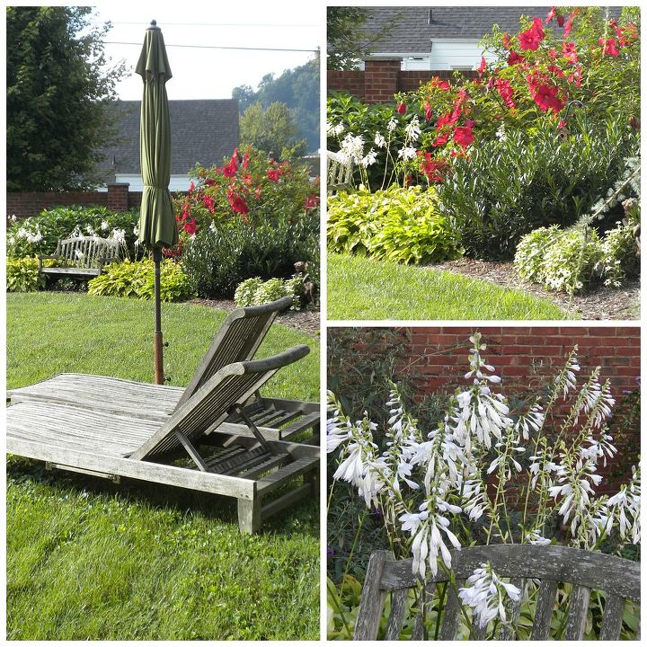gardening late summer flowers west virginia, flowers, gardening, Hostas Lord Baltimore Hibiscus co mingle