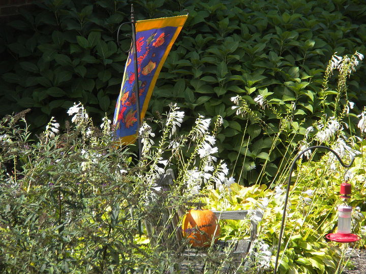 reflexiones sobre el jardn de finales de verano 2014, Finales de verano en el jard n donde el ltimo alimentador de colibr es se encuentra junto a la primera calabaza