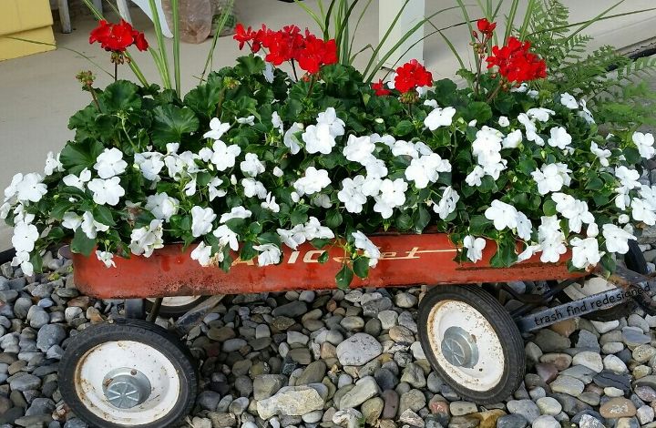 q gardening ideas planter vintage wagon fall ideas rustic, container gardening, repurposing upcycling, Fully grown in my little red wagon