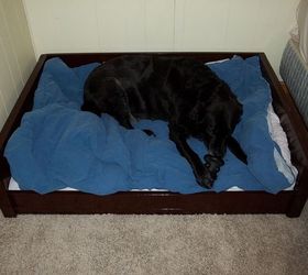 DIY Large Wooden Dog Bed | Hometalk