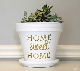 succulent planter housewarming gift, container gardening, succulents