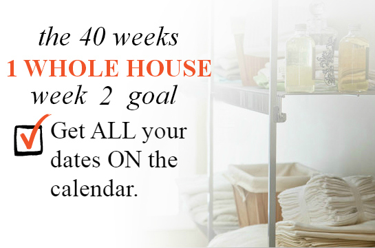 40 weeks 1 whole house week 2 planners calendars, organizing