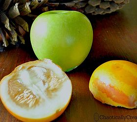 air freshner plum granny mini melon, crafts