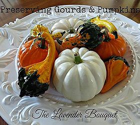 Preserving Gourds & Pumpkins Hometalk