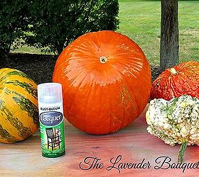 Preserving Gourds & Pumpkins Hometalk