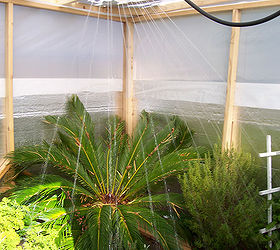 oui built a greenhouse for 142 00 winter protection for plants, Sago Palm Tree Getting a Shower
