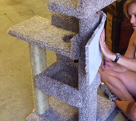 diy kitty scratching post and bed