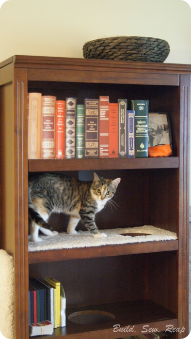 bookcase cat climber, pets animals, repurposing upcycling