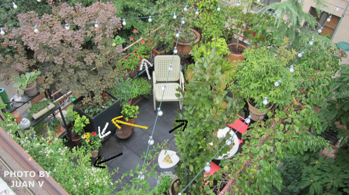 backyard ideas garden entertaining people, container gardening, gardening, outdoor living, repurposing upcycling