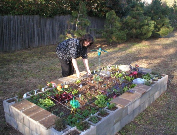 12 mejores planes e ideas de jardinera de pies cuadrados