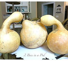 how to stain natural gourds fall decor