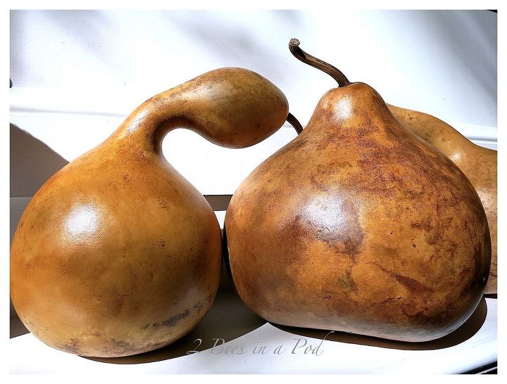 How to stain natural gourds for fall