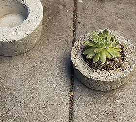 DIY $30 Mini Concrete Planters
