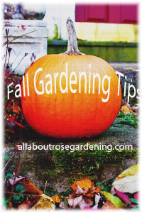 fall gardening tips, gardening