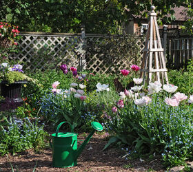 gardening tips spring bulbs tulips problems, flowers, gardening, My garden last spring