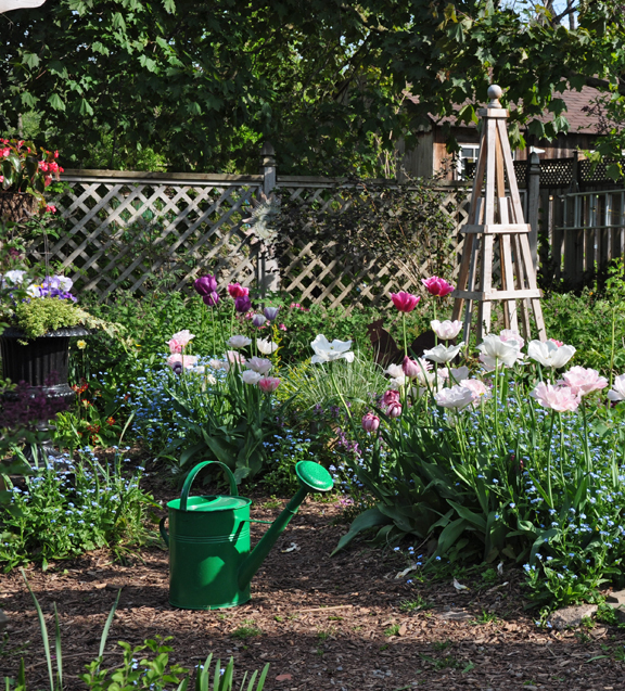 como evitar problemas comuns com lmpadas de mola, meu jardim na primavera passada