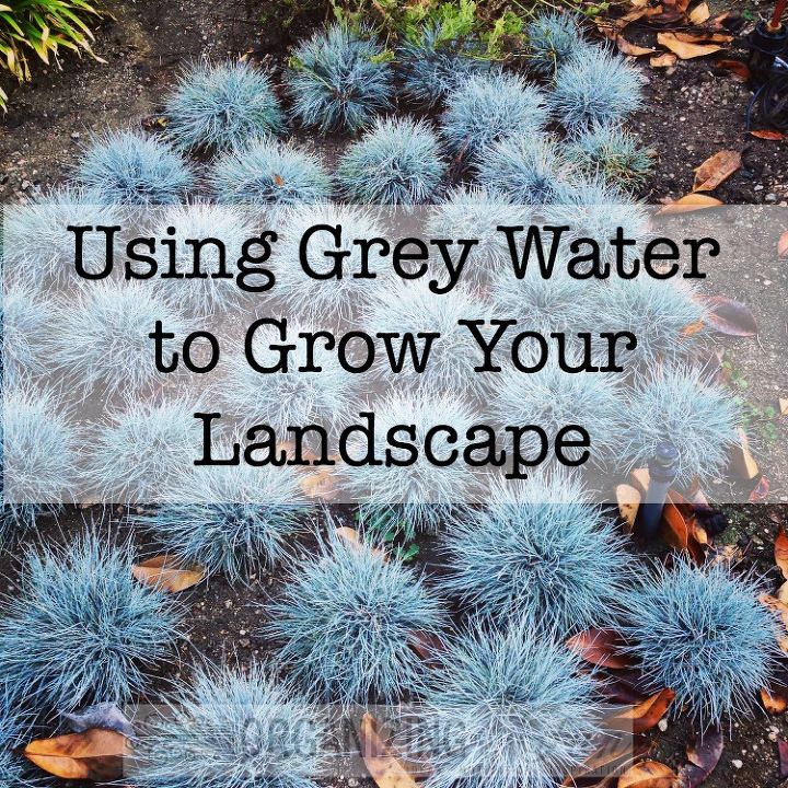 el uso de aguas grises para mantener su paisaje