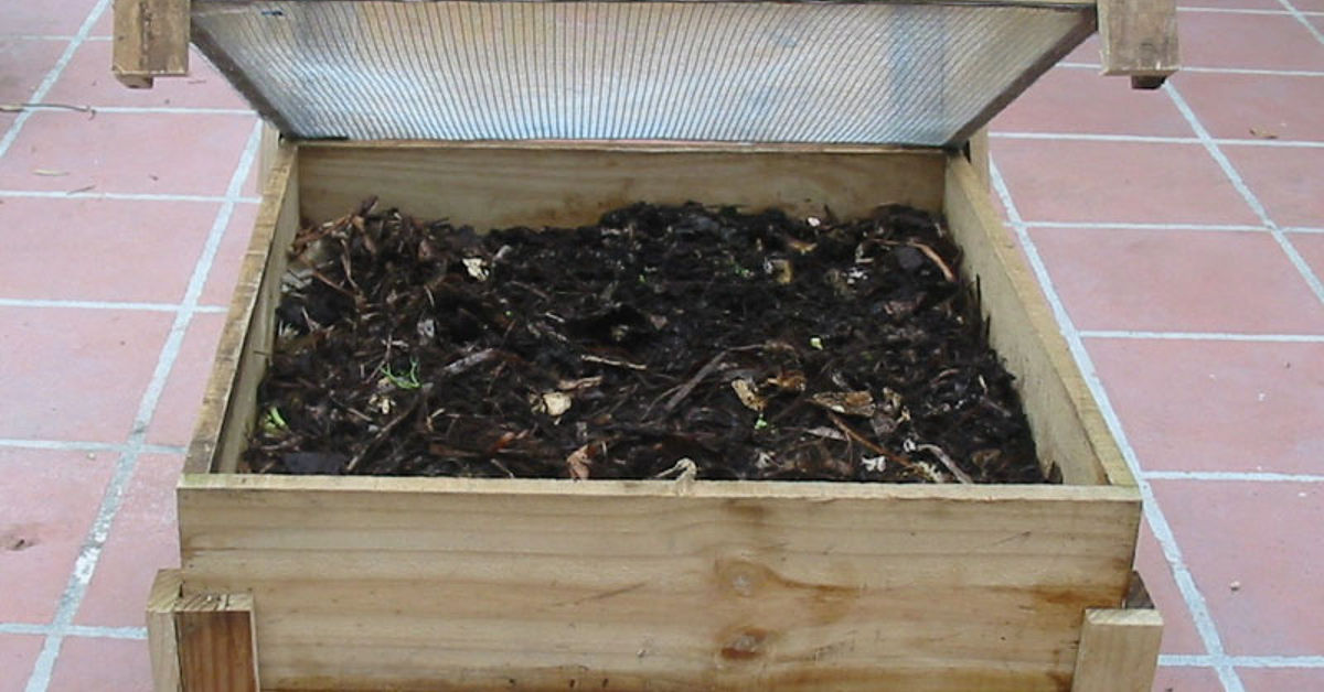 10 Great Worm Composting Bin Ideas And Tutorials Hometalk
