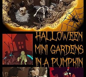 halloween mini gardens in pumpkin, crafts, seasonal holiday decor