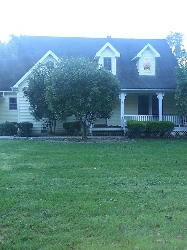 trimming sweetbay magnolia trees