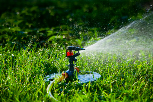 how to adjust pop up sprinkler heads, how to, landscape, lawn care