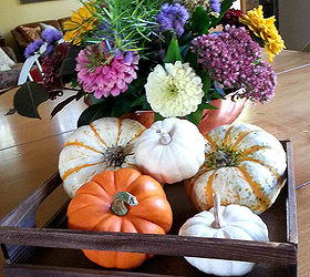 quick trick to make pumpkins last, seasonal holiday decor