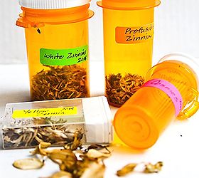 Seed Containers From Prescription Bottles