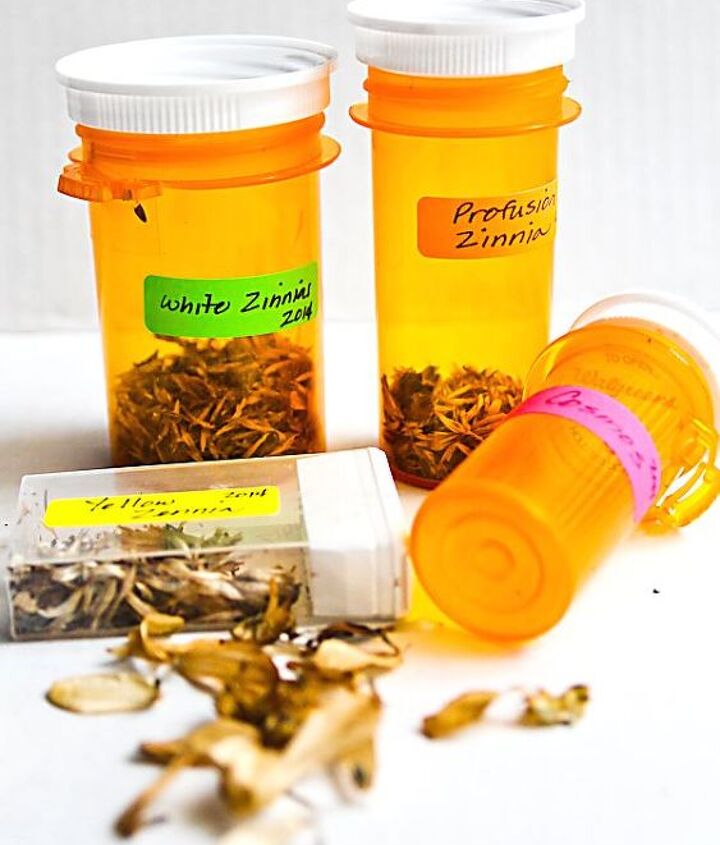 https://cdn-fastly.hometalk.com/media/2014/10/01/1130489/gardening-seed-containers-prescription-bottle-repurpose-gardening.jpg?nocrop=1&size=720x845