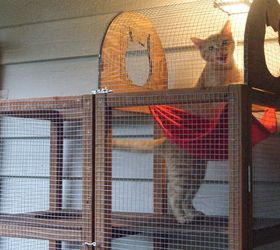 woodworking patio cat catio project, diy, homesteading, outdoor living, pets animals, repurposing upcycling