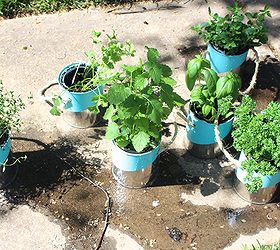diy paint can herb garden, crafts, gardening, repurposing upcycling