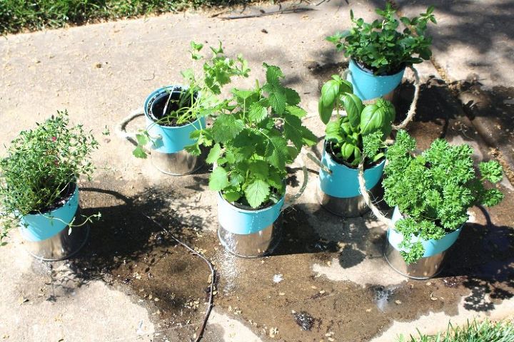 diy paint can herb garden, crafts, gardening, repurposing upcycling
