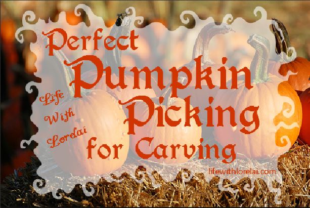 how to carve pumpkins pumpkin carving, halloween decorations, how to