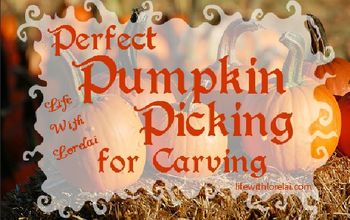 Perfect Pumpkin Picking For Carving