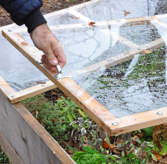 gardening cold frame raised bed quick, gardening, raised garden beds
