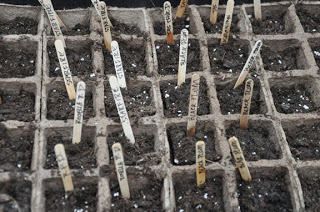 gardening cold frame raised bed quick, gardening, raised garden beds