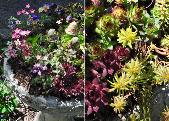 gardening cold frame raised bed quick, gardening, raised garden beds