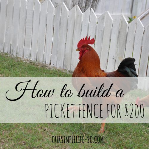 build a cheap wood picket fence for 200, diy, fences, homesteading, outdoor living, repurposing upcycling, woodworking projects