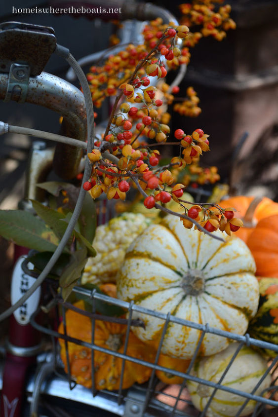fall decor upcycle bicycle pumpkins outdoor, outdoor living, porches, repurposing upcycling, seasonal holiday decor
