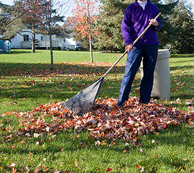 lawn care raking regularly, gardening, lawn care