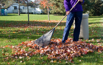 Why You Should Rake Your Lawn Regularly