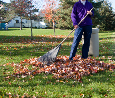 lawn care raking regularly, gardening, lawn care