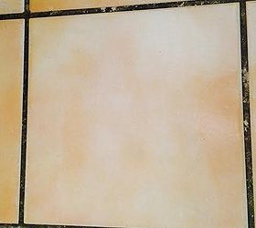cleaning tips grout tile, cleaning tips, how to, tiling, Before it looks like black grout
