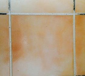 cleaning tips grout tile, cleaning tips, how to, tiling, After