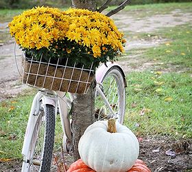 fall bike basket planter mums pumpkins, crafts, gardening, seasonal holiday decor